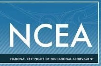 new ncea standards 1